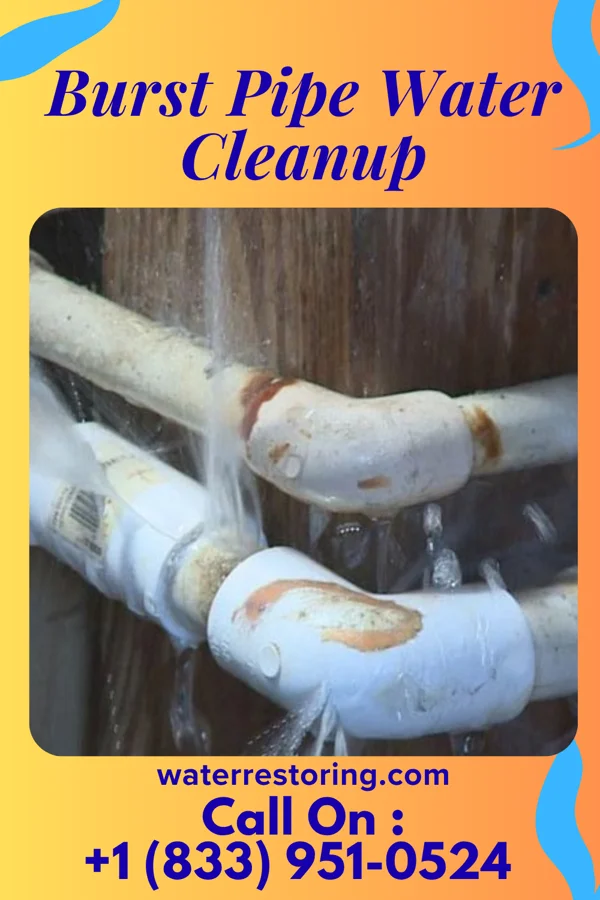 Burst Pipe Water Cleanup in St. James, NY