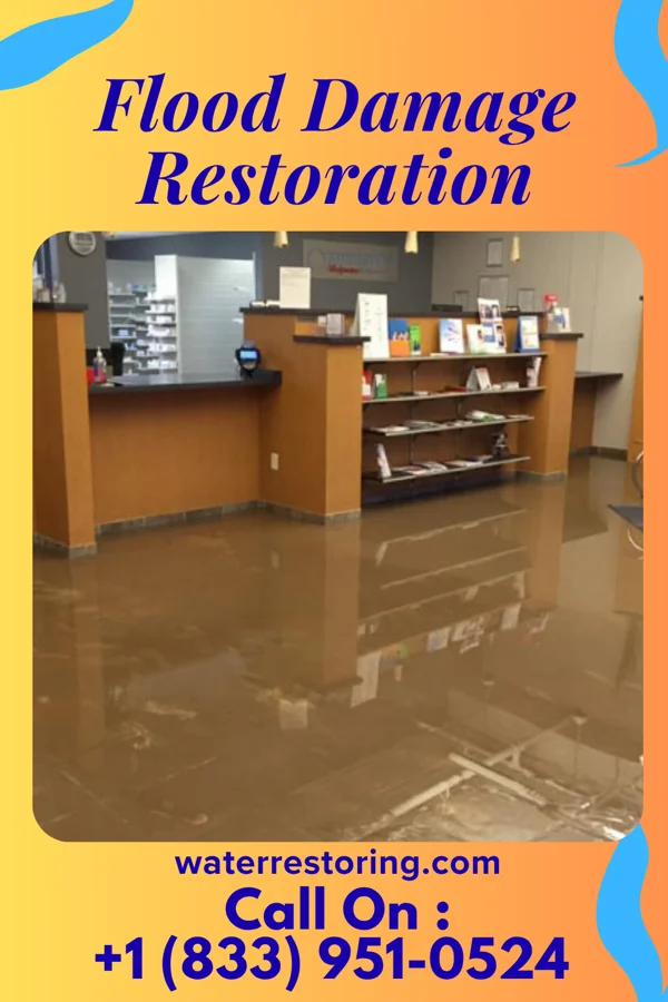 Flood Damage Restoration in St. James, NY