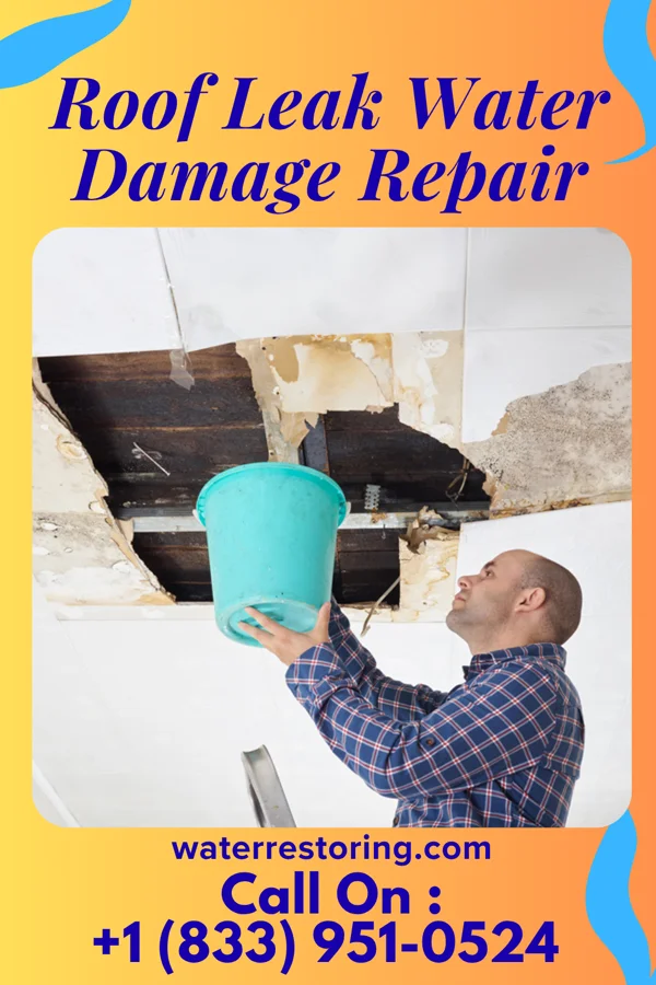 Roof Leak Water Damage Repair in St. James, NY