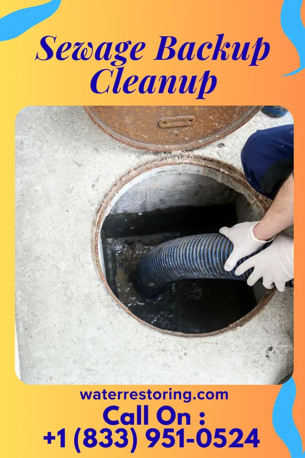 Sewage Backup Cleanup in St. James, NY