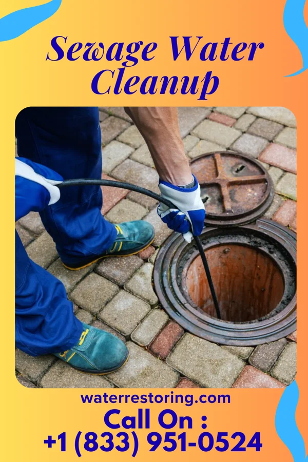 Sewage Water Cleanup in St. James, NY