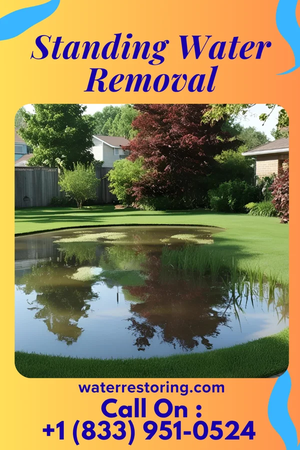 Standing Water Removal in St. James, NY